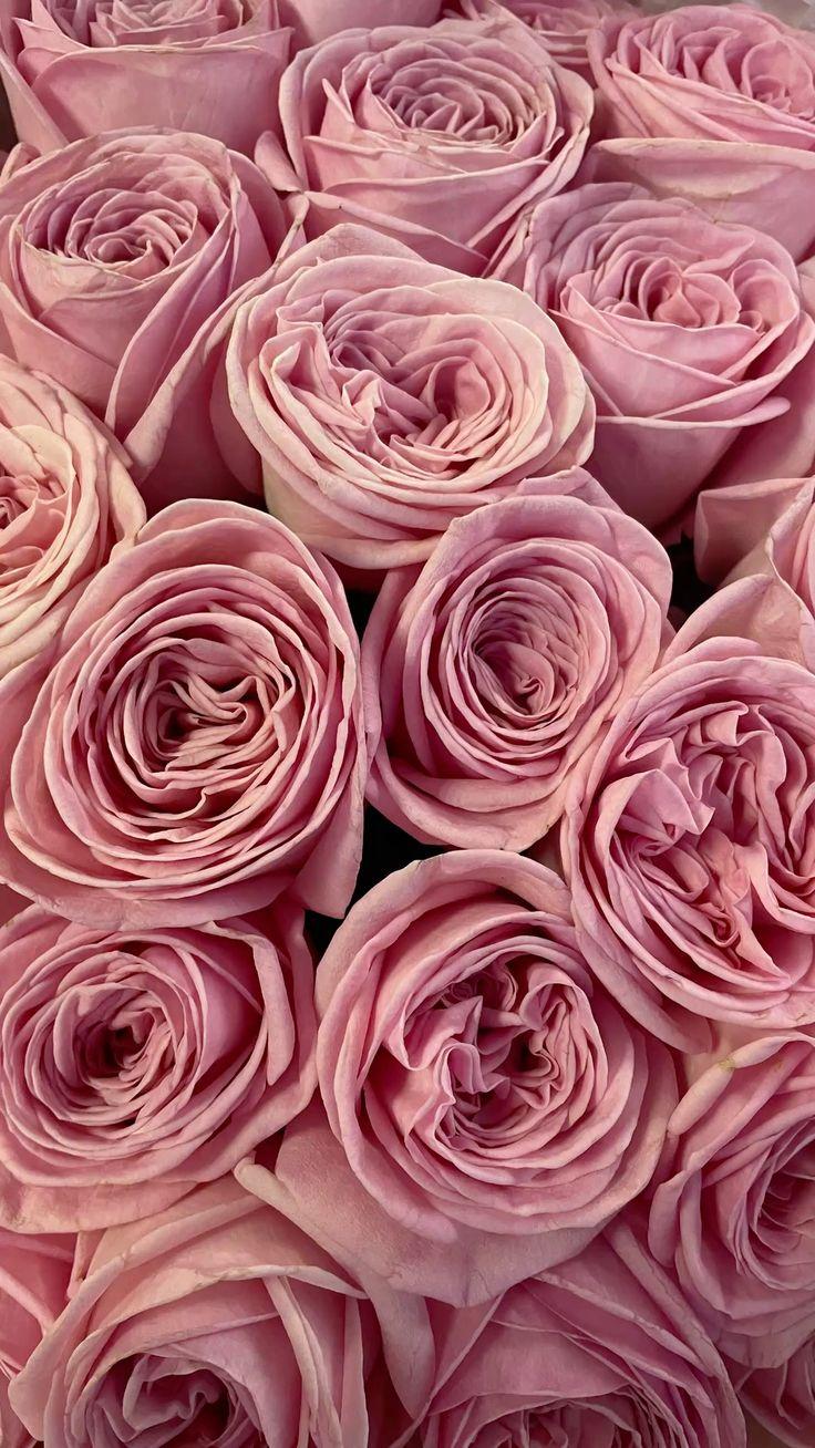 BreezeHarborLilt workshop space where corporate flower arrangements are designed and prepared for business delivery